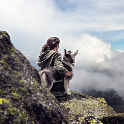 Navigating the Future of Work: Trends and Strategies